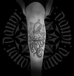 Oktopus Octopus Dotwork Danny Fiebig Tattoo Dresden Dannyefpunkt mistfink
